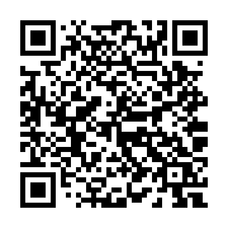 QR code for 016 PZS