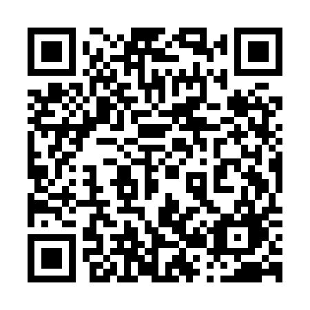 QR code for plate 029 HQG