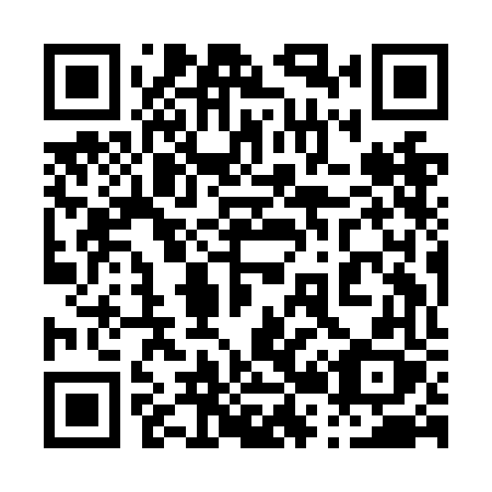 QR code for plate 029 NFX