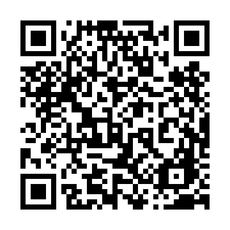 QR code for plate 030 TFG