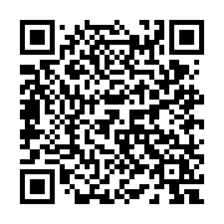 QR code for plate 031 FLX