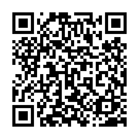 QR code for 038 DSS