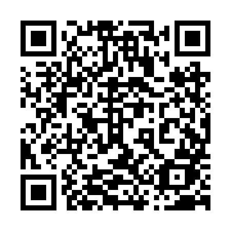 QR code for plate 038 BXJ