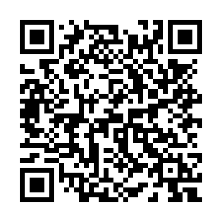 QR code for plate 038 NWH