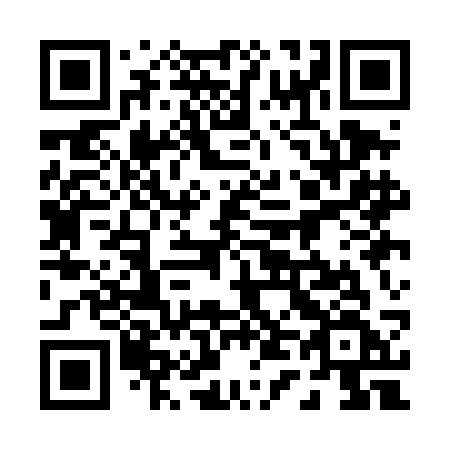 QR code for plate 041 DCF