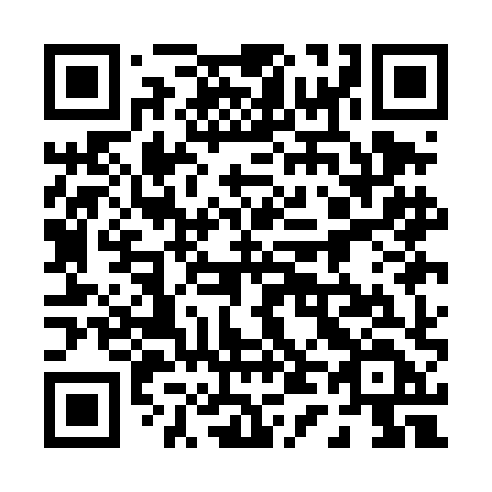 QR code for plate 041 DHD