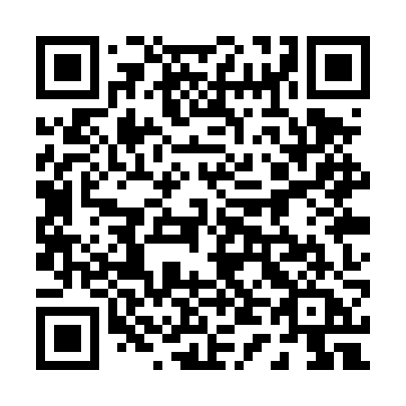 QR code for plate 041 TZA