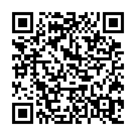 QR code for plate 045 CNG