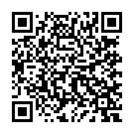 QR code for plate 045 LLN