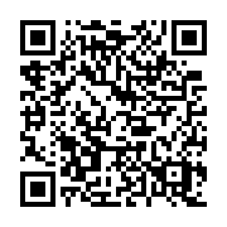QR code for plate 046 GSX