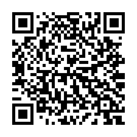 QR code for plate 046 PTD