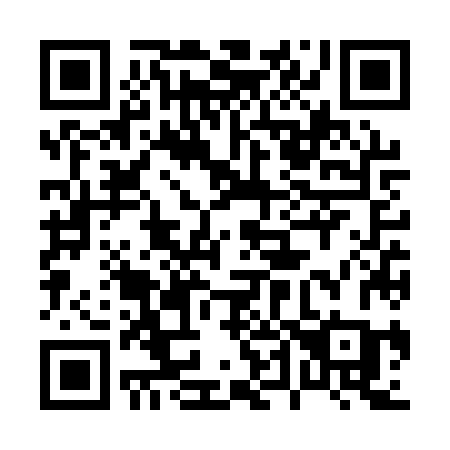 QR code for plate 046 QZC