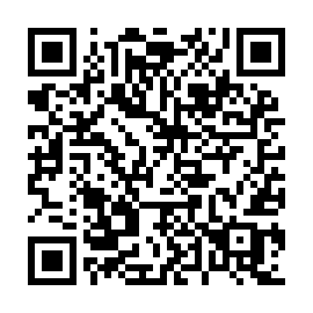 QR code for plate 046 YEB