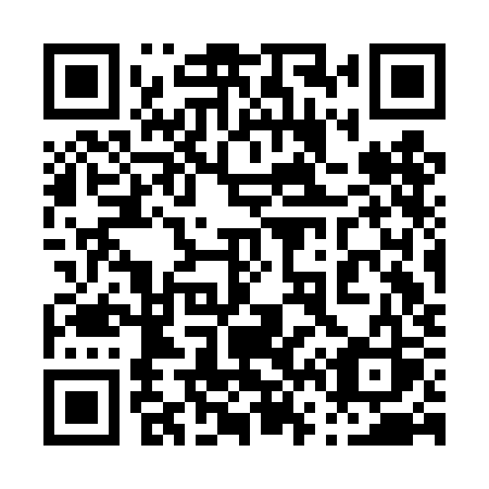 QR code for plate 063 DKS