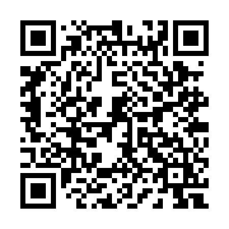 QR code for plate 063 PEZ