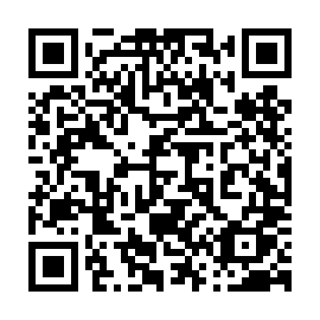 QR code for plate 064 DLQ