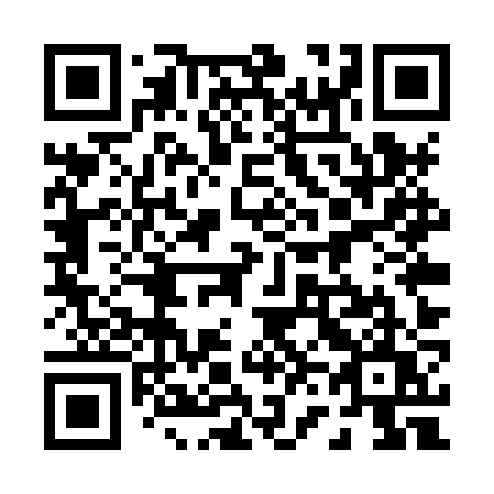 QR code for plate 065 XZU