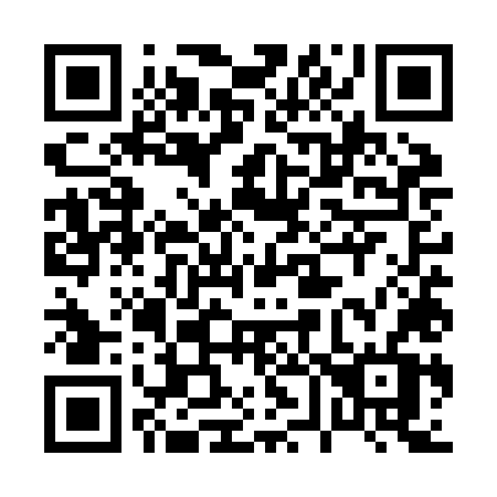 QR code for plate 065 ZLV