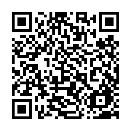 QR code for plate 070 DZG