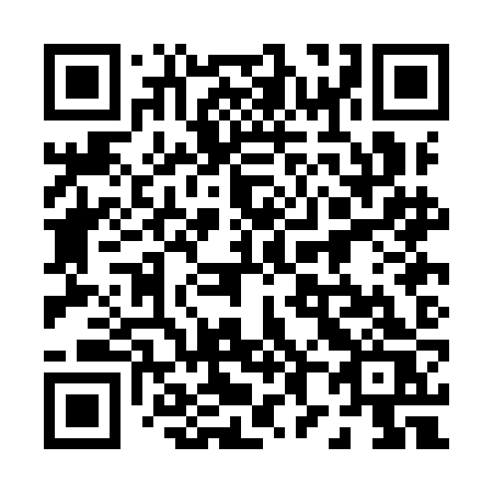QR code for 080 IJS