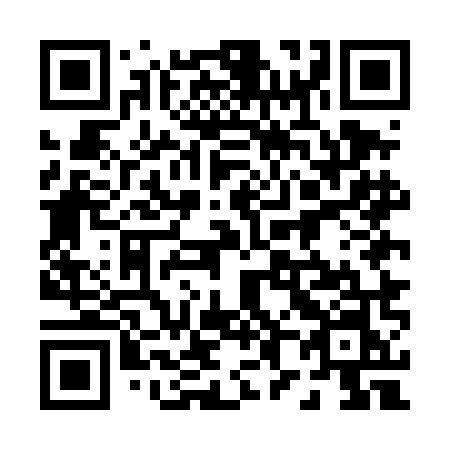 QR code for plate 085 DMN