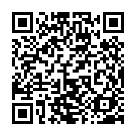 QR code for 095 PZI