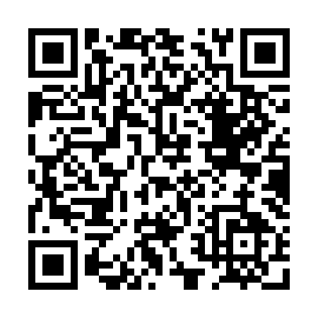 QR code for 0R1SM