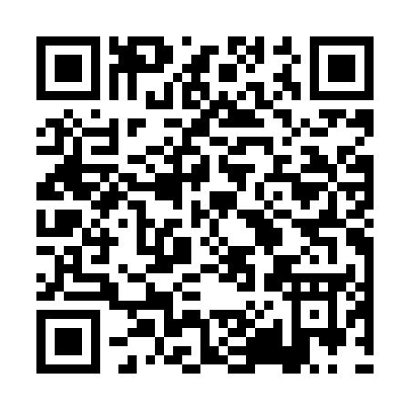 QR code for 0X3LU