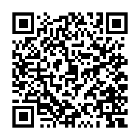 QR code for 0X6EE