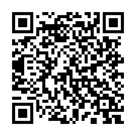 QR code for plate 100 MPT