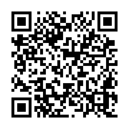 QR code for 101 CMZ