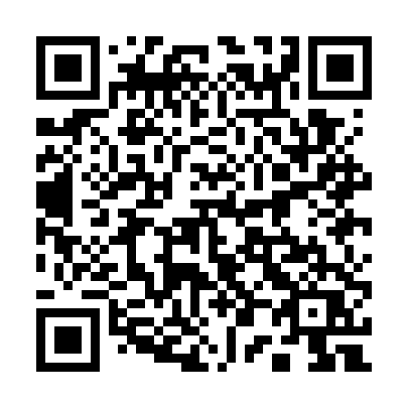 QR code for 101 GTQ