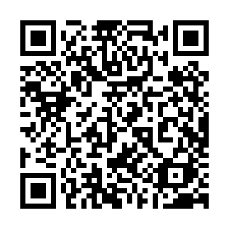 QR code for plate 110 PZI