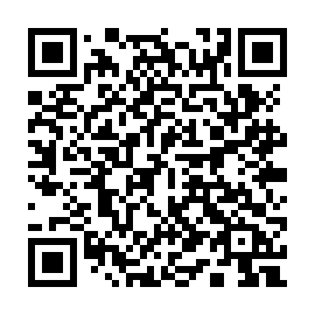 QR code for 111 ZFB