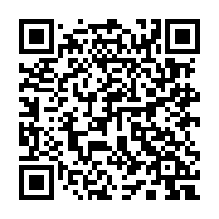 QR code for 119 MEF