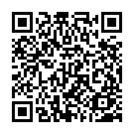 QR code for plate 119 INP