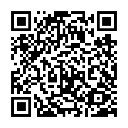 QR code for plate 128 FZZ