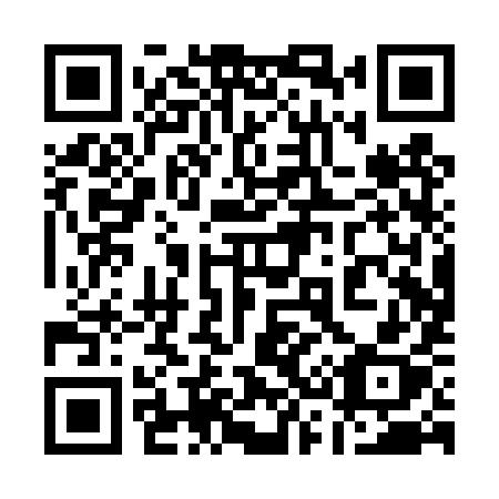QR code for plate 130 TYX