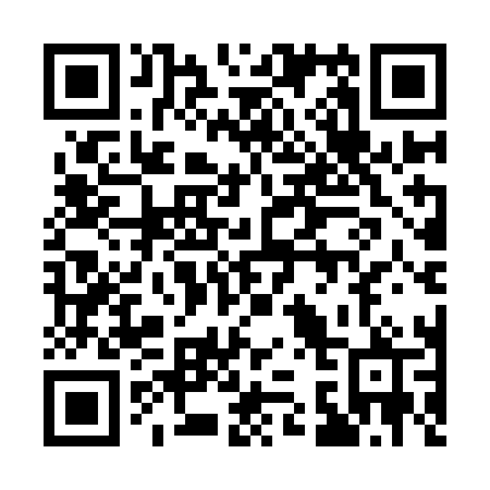QR code for plate 131 ILP