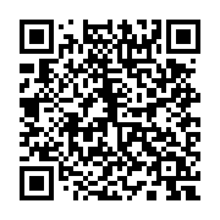 QR code for plate 132 DXT