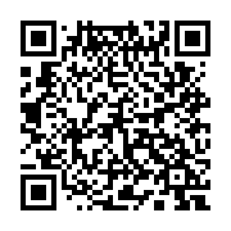 QR code for plate 133 GZG