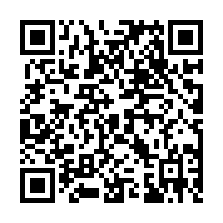 QR code for plate 133 IYO