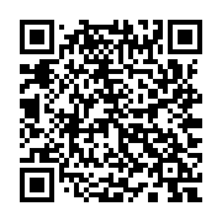 QR code for plate 135 YZG