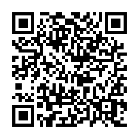 QR code for plate 141 QIV