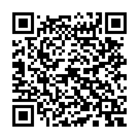 QR code for plate 151 DSR