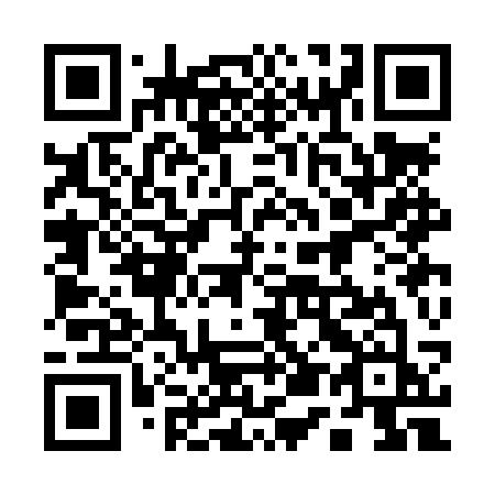 QR code for plate 153 LSJ