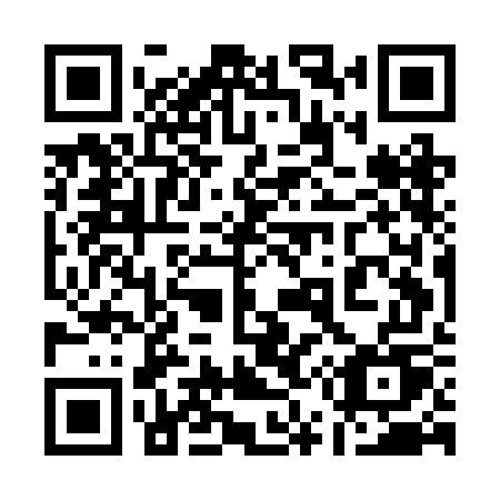 QR code for plate 155 BGU