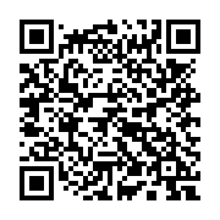 QR code for plate 155 NPE