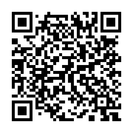 QR code for 160 LPI