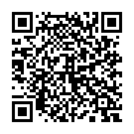 QR code for 161 ELF